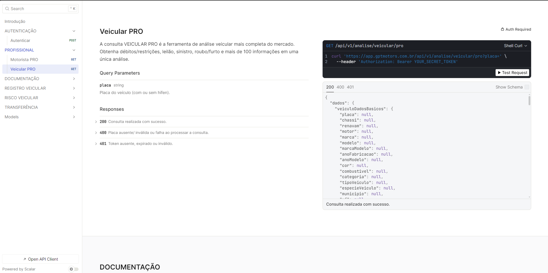 Documentação da API gptmotors com exemplo de consulta Veicular PRO